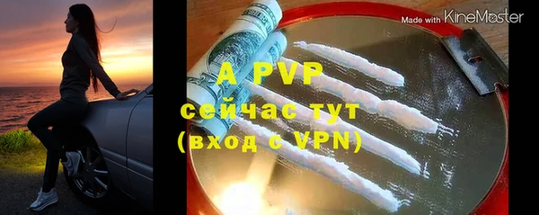 apvp Верея