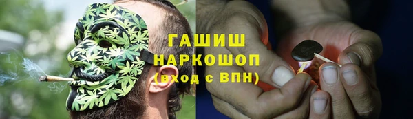 apvp Верея