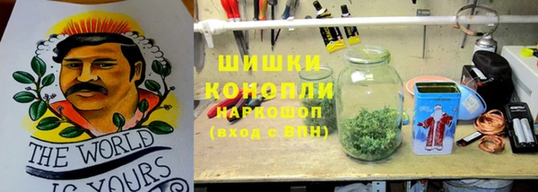 apvp Верея