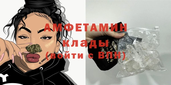 apvp Верея