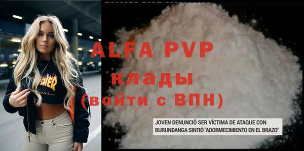 apvp Верея